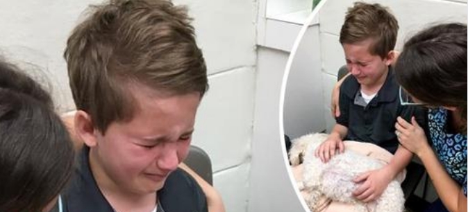 Adoptierter Junge tröstet sterbenden Hund: Ich weiß, wie es ist, nicht geliebt zu werden